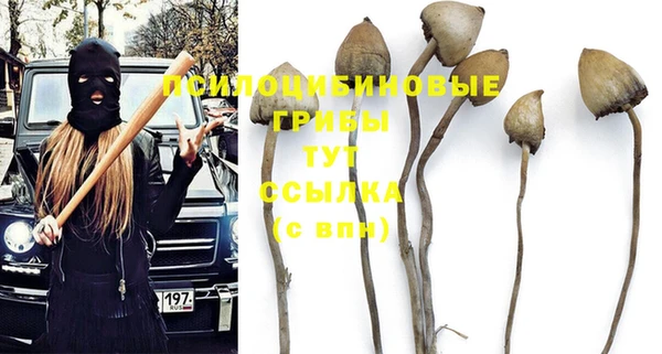 мяу мяу мука Навашино