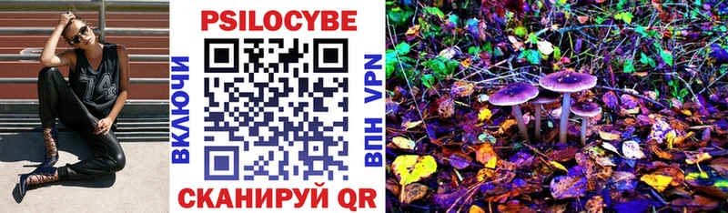 сколько стоит  Кораблино  Галлюциногенные грибы мицелий 